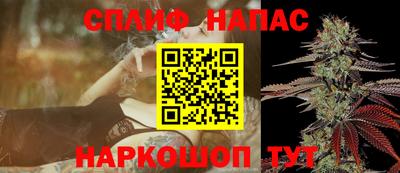 шишки Кузнецк