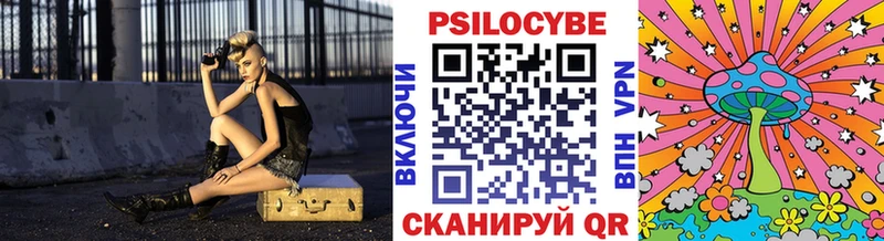 Псилоцибиновые грибы мицелий  где можно купить наркотик  omg ONION  Красноармейск 