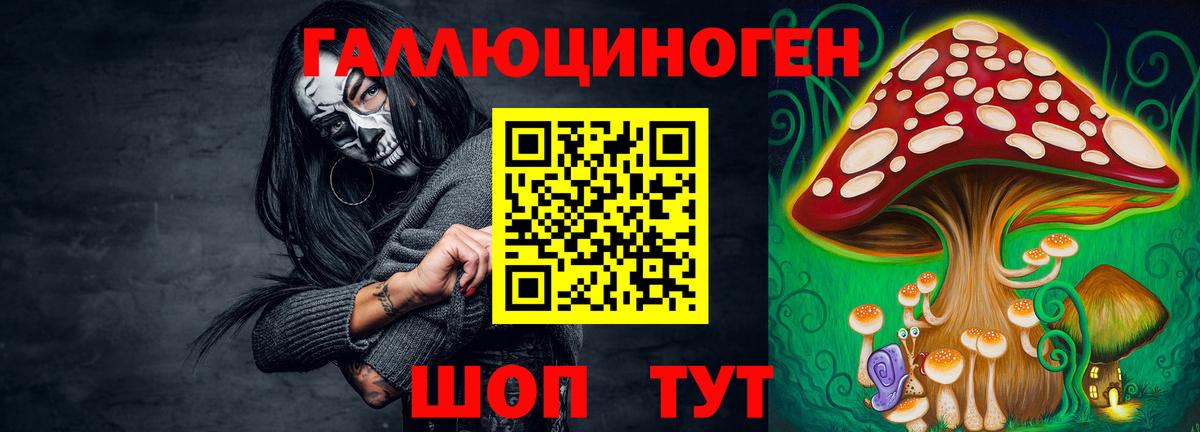 Псилоцибиновые грибы MAGIC MUSHROOMS  купить наркотик  Красноармейск  Вход с VPN 